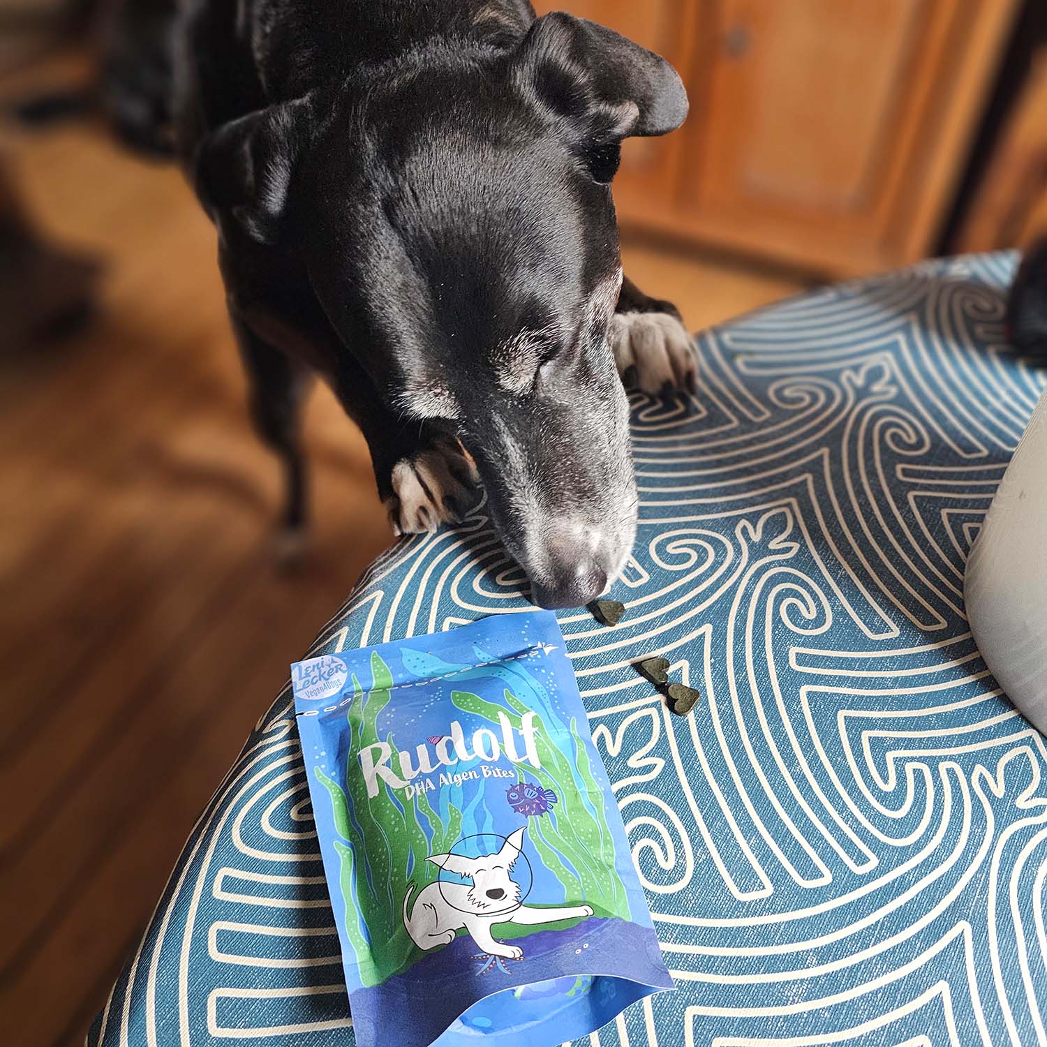 A black dog sniffing heart-shaped Rudolf Algae Bites on a sofa – vegan snack for optimal DHA supply.