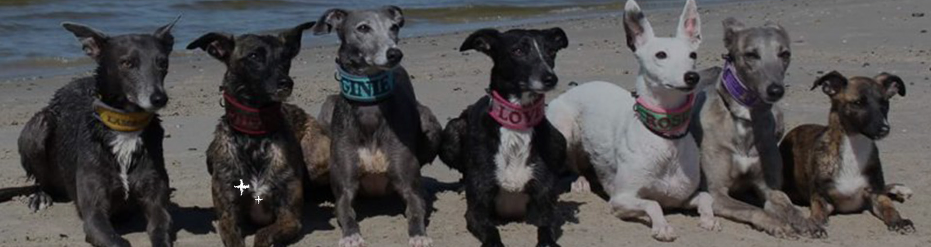 Du bist nicht allein