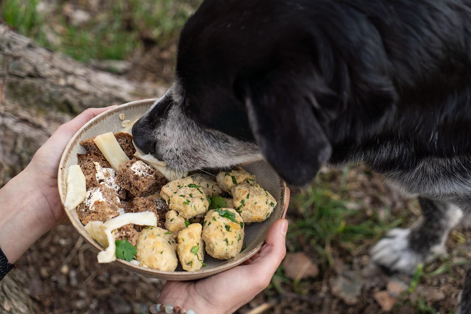 Homemade Vegan Dog Food Recipe ׀ Soybean Dumplings